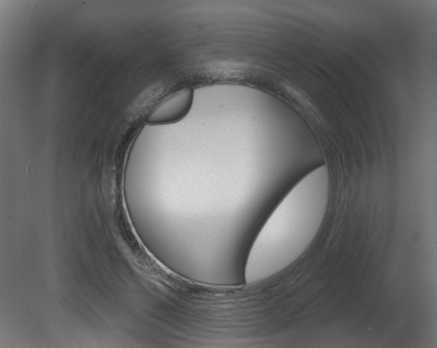 X0000081420494200701120948