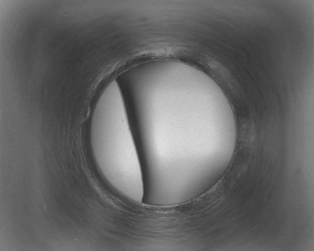 X0000081420495200701120948