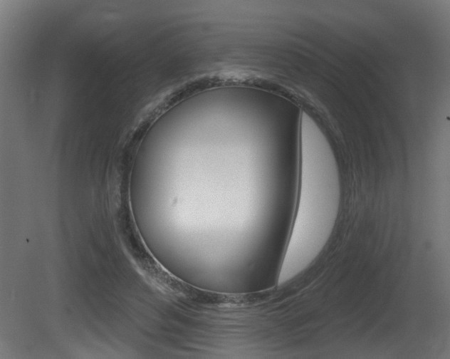 X0000081420496200701120948