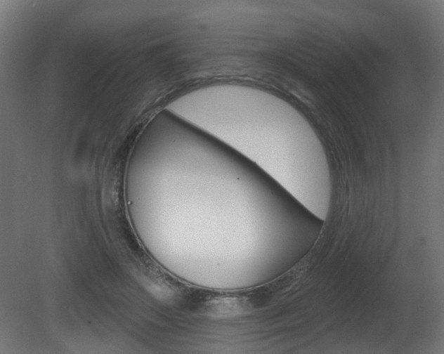 X0000081420499200701120948