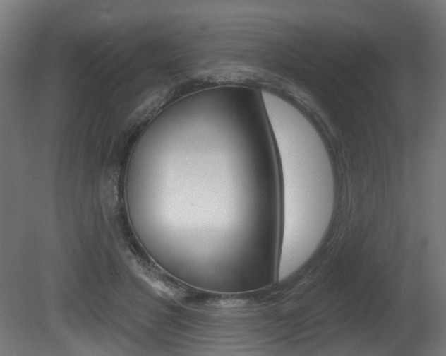 X0000081420501200701120948