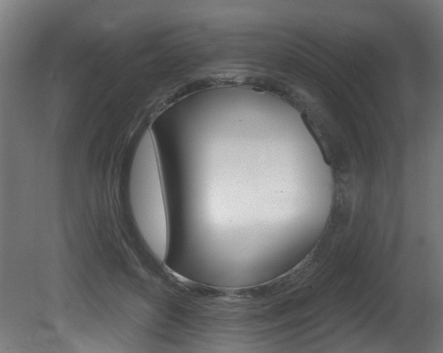X0000081420504200701120948