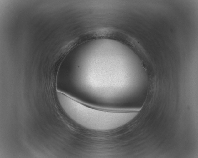 X0000081420505200701120948