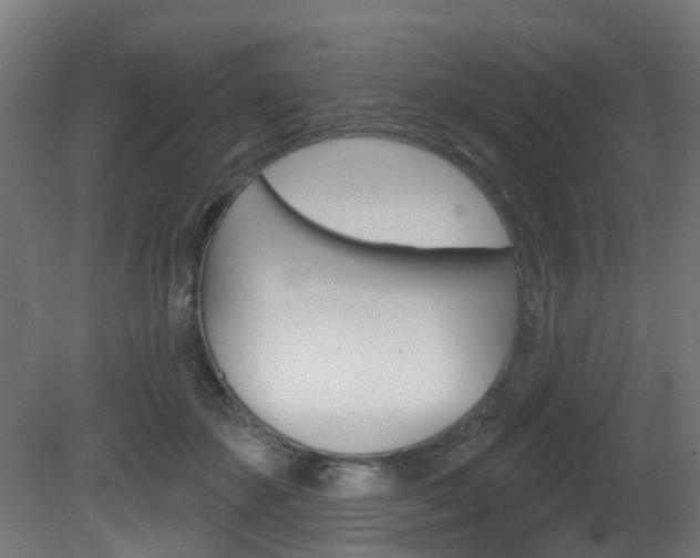 X0000081420507200701120948