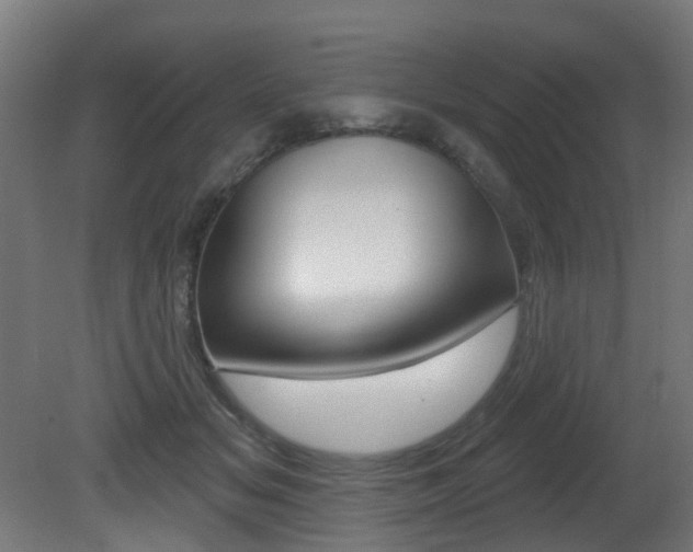 X0000081420509200701120948