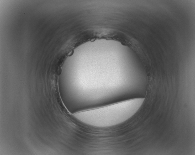 X0000081420510200701120948