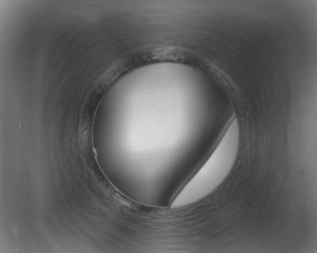 X0000081420513200701120948