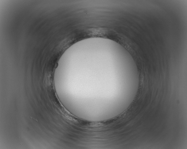 X0000081420514200701120948