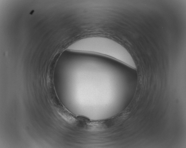 X0000081420516200701120948