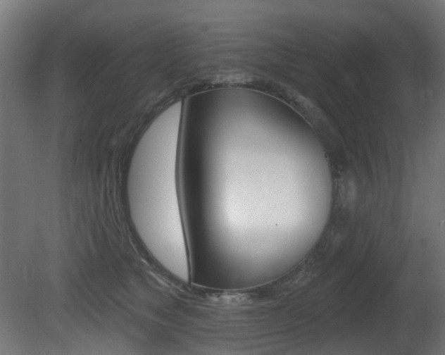 X0000081420517200701120948