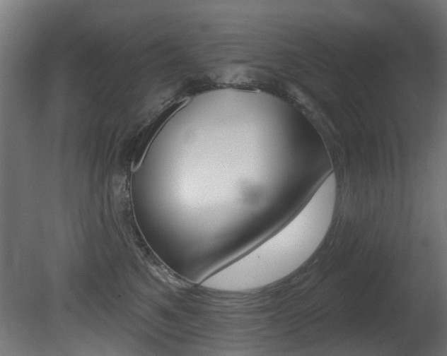 X0000081420521200701120948
