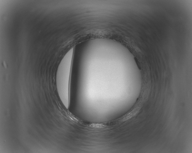 X0000081420528200701120948