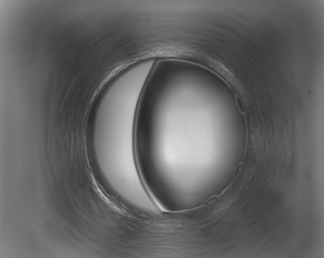 X0000081420530200701120947
