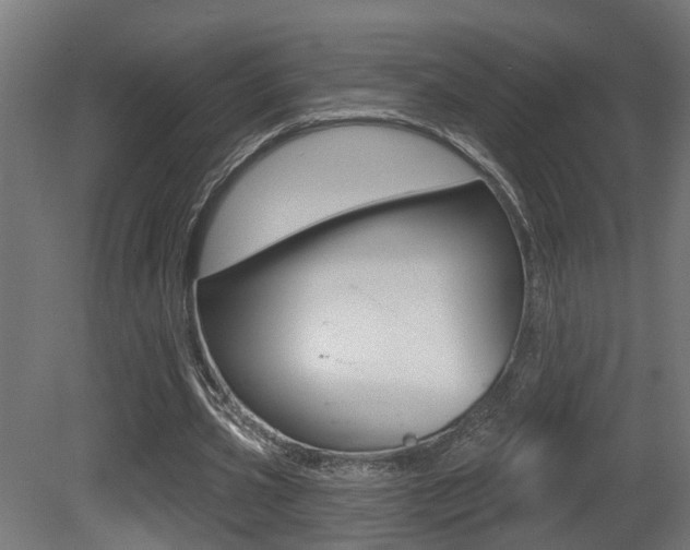 X0000081420533200701120947