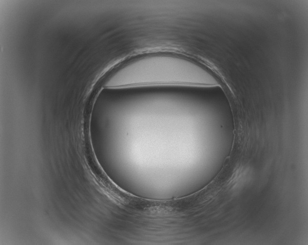X0000081420535200701120947