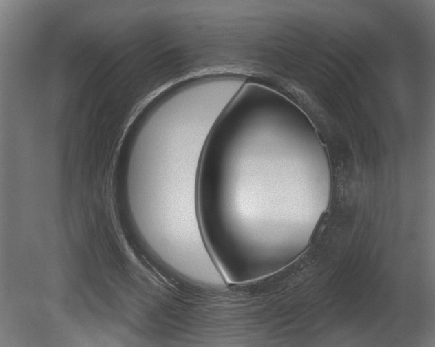 X0000081420536200701120947