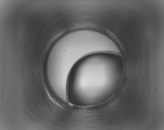 X0000081420538200701120947
