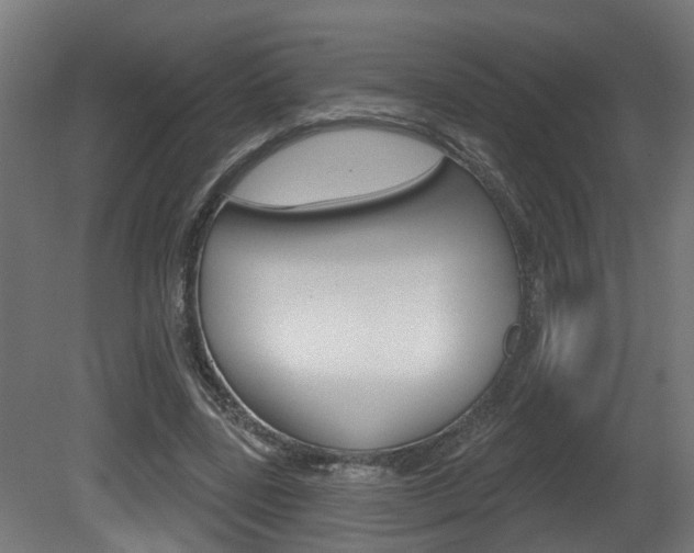 X0000081420539200701120947