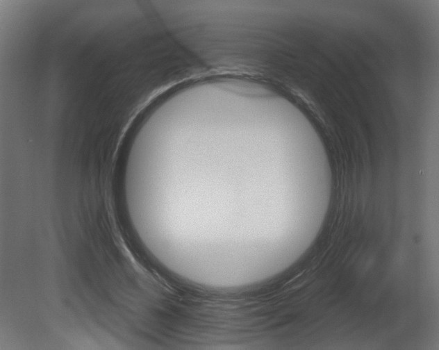 X0000081420540200701120947