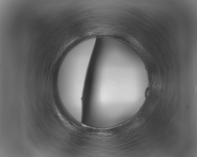 X0000081420542200701120947