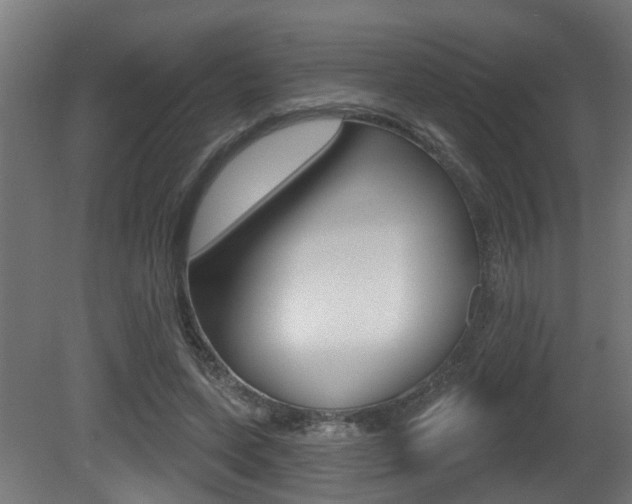 X0000081420543200701120947