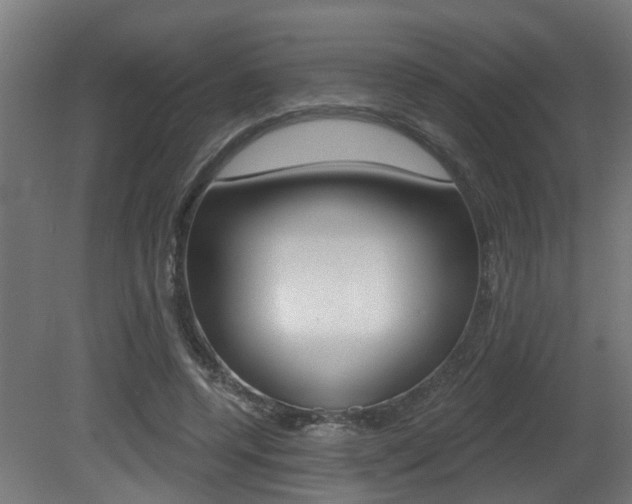 X0000081420544200701120947