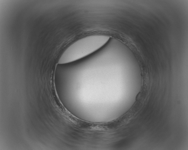 X0000081420545200701120947