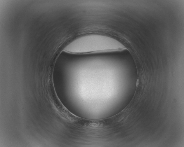 X0000081420546200701120947