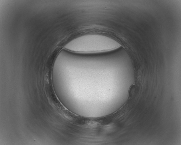 X0000081420547200701120947