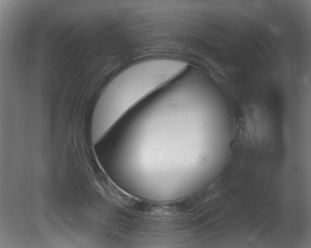 X0000081420550200701120947