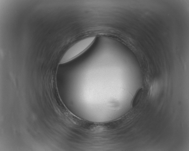 X0000081420551200701120947