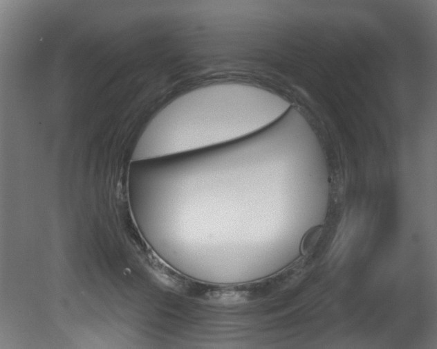 X0000081420553200701120947