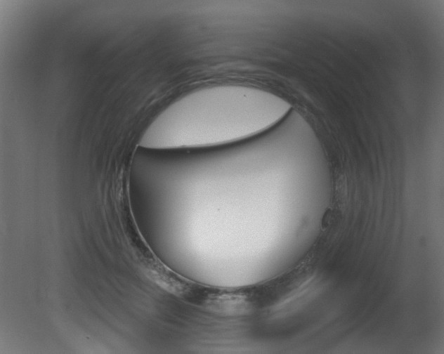 X0000081420554200701120947
