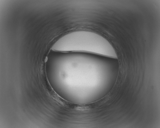 X0000081420556200701120947