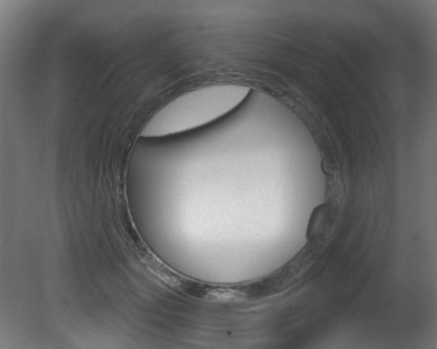 X0000081420557200701120947