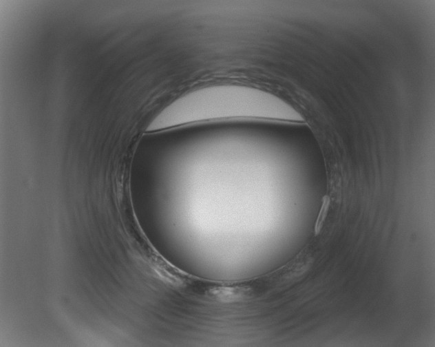 X0000081420558200701120947