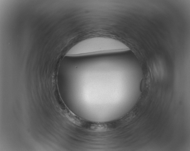 X0000081420559200701120947
