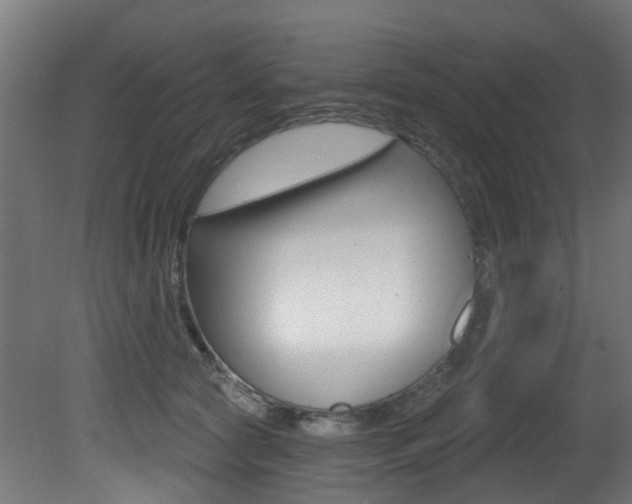 X0000081420561200701120947