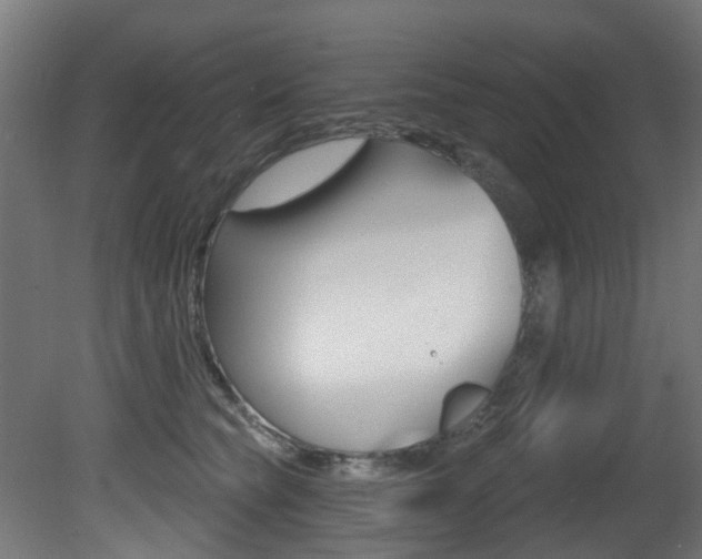 X0000081420565200701120947