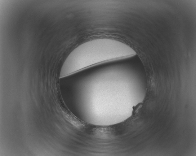 X0000081420567200701120947