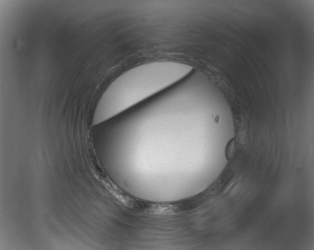 X0000081420569200701120947
