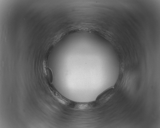 X0000081420575200701120948