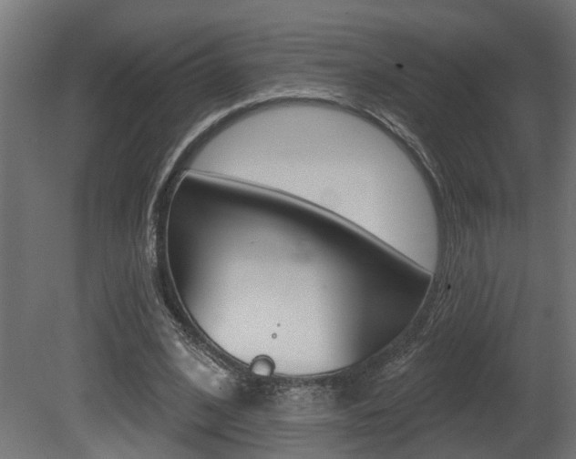 X0000081420584200701120947