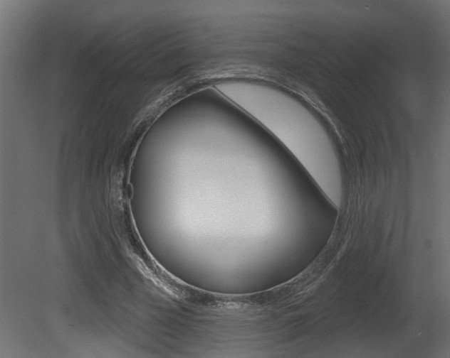 X0000081420585200701120947