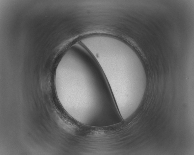 X0000081420588200701120947