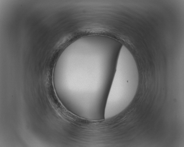 X0000081420591200701120947
