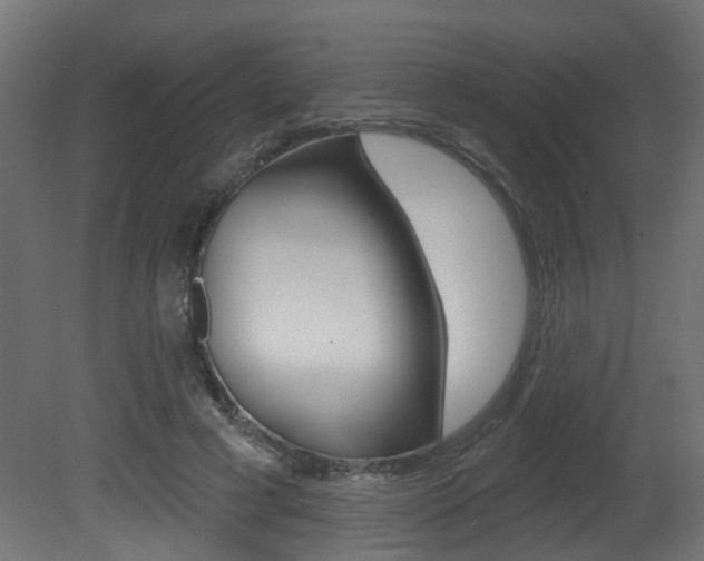 X0000081420593200701120947