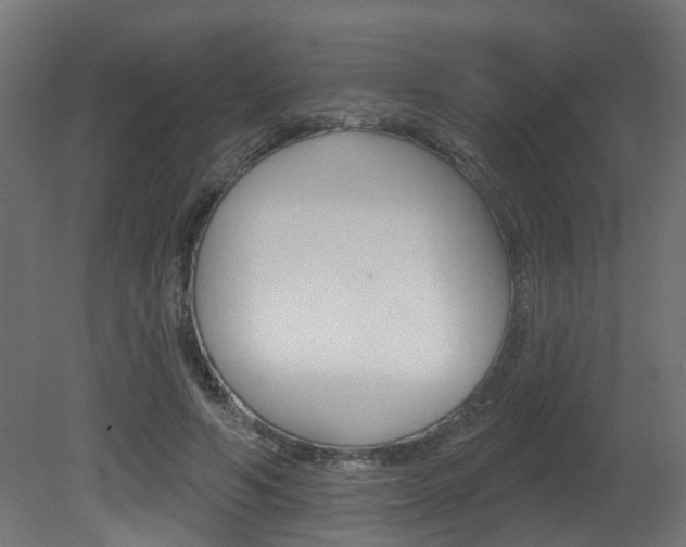 X0000081420594200701120946