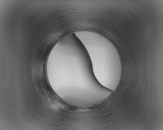 X0000081420595200701120946