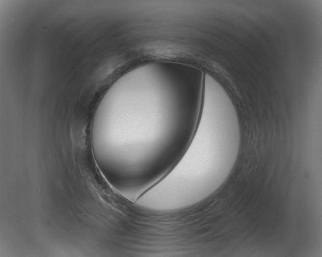X0000081420596200701120946